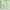 Mugwort Calming Serum 50ml