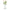 Mugwort Calming Cleanser 150ml